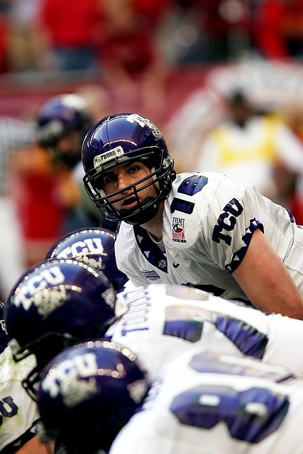 藏粮于技 藏粮于技